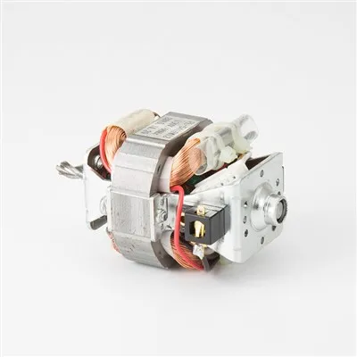 Motor Bldc 110V-230V pentru uscător de păr cu preț competitiv